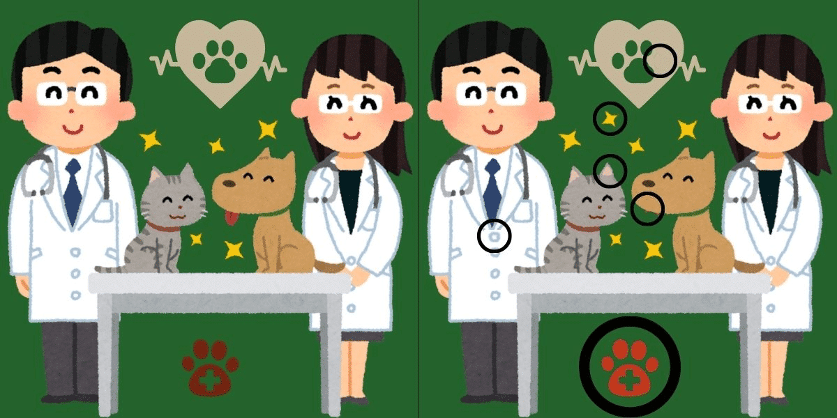 Trova la differenza: l'enigma della clinica veterinaria! Trova le 6 subdole modifiche in meno di 11 secondi: sei pronto per il test?