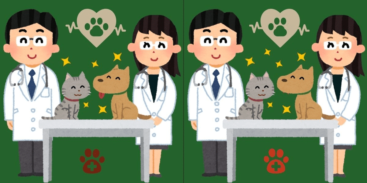 Trova la differenza: enigma della clinica veterinaria! Trova le 6 subdole modifiche in meno di 11 secondi: sei pronto per il test?