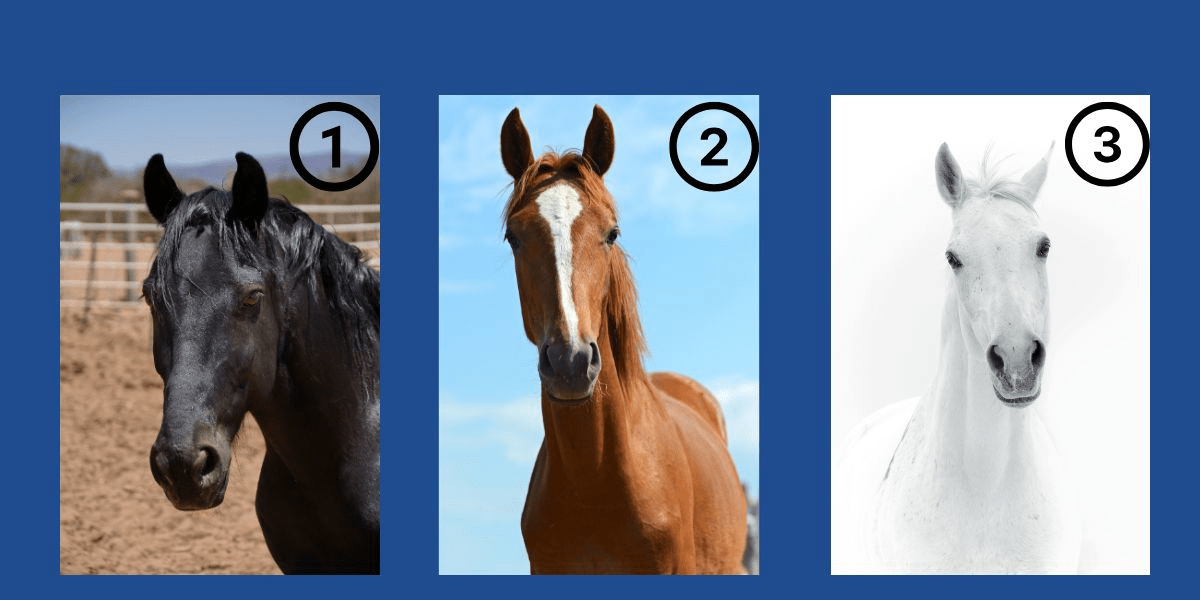 Quale cavallo ti parla? Rivela il tuo tratto dominante nel divertente test di personalità di oggi!